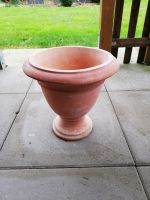 Pflanzentopf Ton Terracotta Pflanzkübel Nordrhein-Westfalen - Ascheberg Vorschau