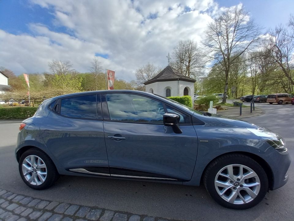 Renault Clio in Steinebach (Sieg)