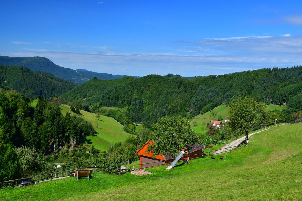 Ferienhaus im Schwarzwald - Ferienwohnungen, Alleinlage, Natur in Oppenau