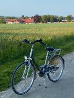 Damen Fahrrad Kettler City Comfort Bielefeld - Dornberg Vorschau