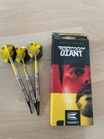 Target Darts Gabriel Clemens Softdarts Saarland - Beckingen Vorschau