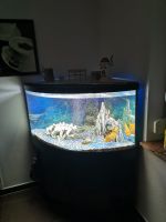 Aquarium Juwel 350l Bayern - Palling Vorschau