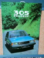 Prospekte Peugeot 304 305 1978-1985 Top Zustand Hamburg-Nord - Hamburg Eppendorf Vorschau