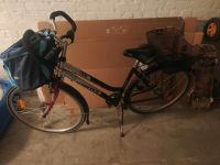 Damen Fahrrad 28 Zoll 7gang Schaltung Bochum - Bochum-Ost Vorschau