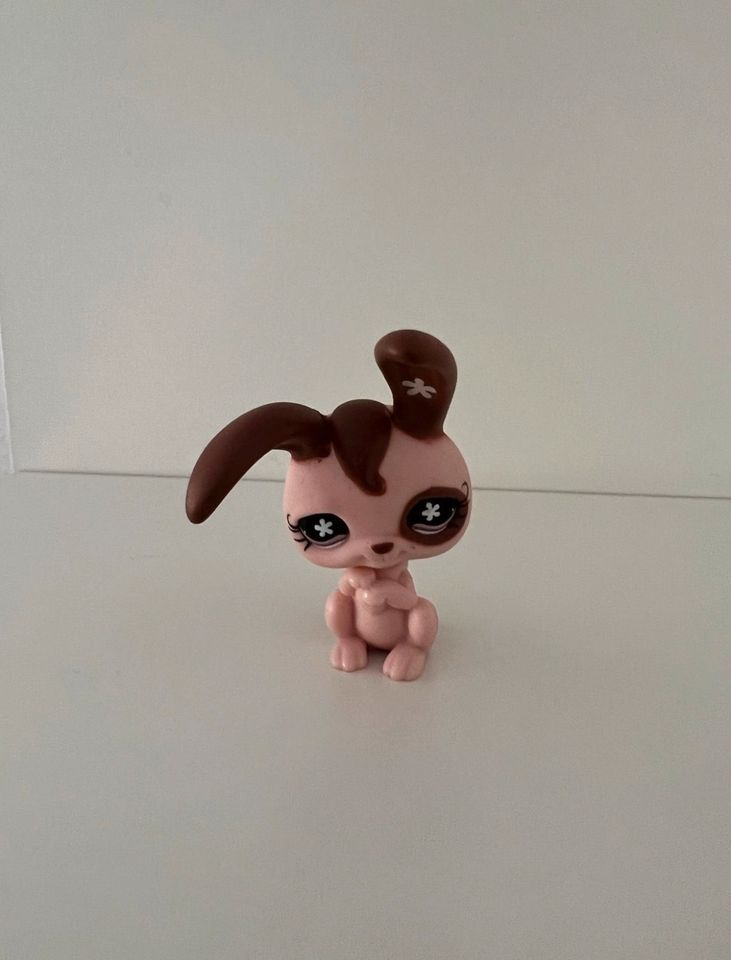 Littlest Pet Shop Spielfigur Hase / Kaninchen #737 / Sammelfigur in Hanau