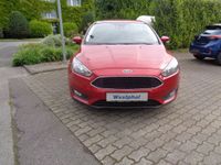 Ford Focus  Cool & Connect Turnier 1.0 EcoBoost Nordrhein-Westfalen - Eschweiler Vorschau