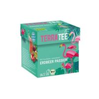 Terra Tee ERDBEER PASSION Früchtetee, BIO, 45g (18 Beutel) Kr. München - Ottobrunn Vorschau