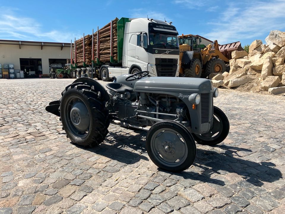 Massey Ferguson TE 20 Benzin Oldtimer Traktor Pflug in Mainburg