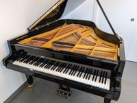 Klangvoller GROTRIAN-STEINWEG Flügel, 192, schwarz poliert Kr. München - Aying Vorschau