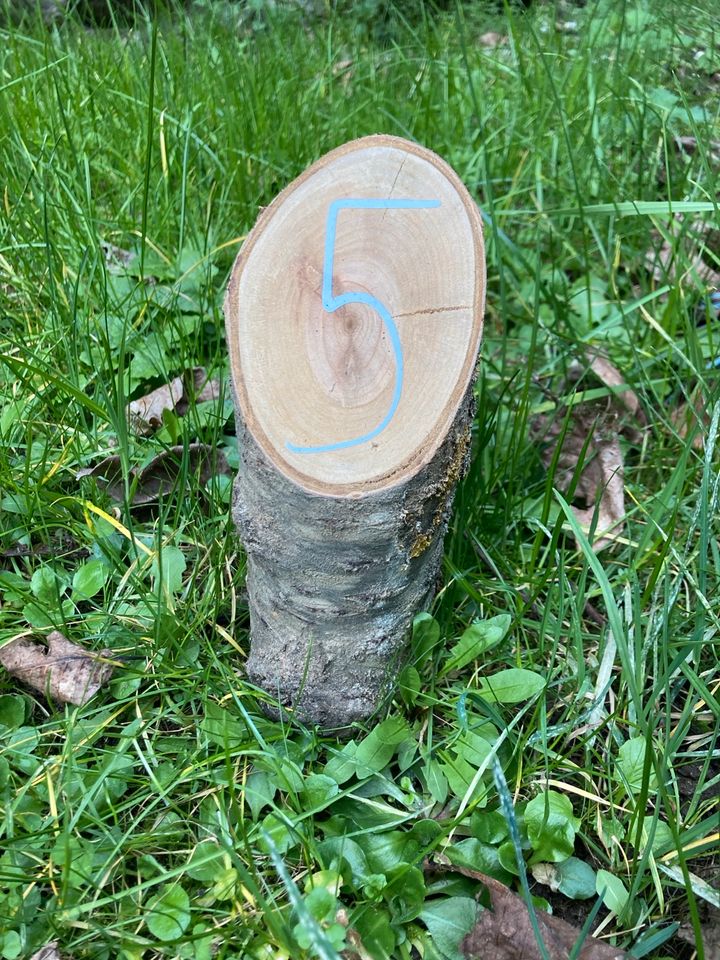 Tischnummern Holz Hochzeit in Kerben