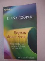 Begegne deiner Seele / Diana Cooper Hessen - Korbach Vorschau