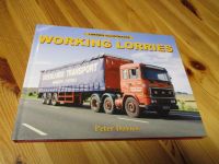 Working Lorries - Truck/Lastwagen-Foto-Dokumentation Hessen - Riedstadt Vorschau