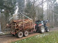 Brennholz im Lohnfahren Aufladung mit Kran Baden-Württemberg - Bopfingen Vorschau