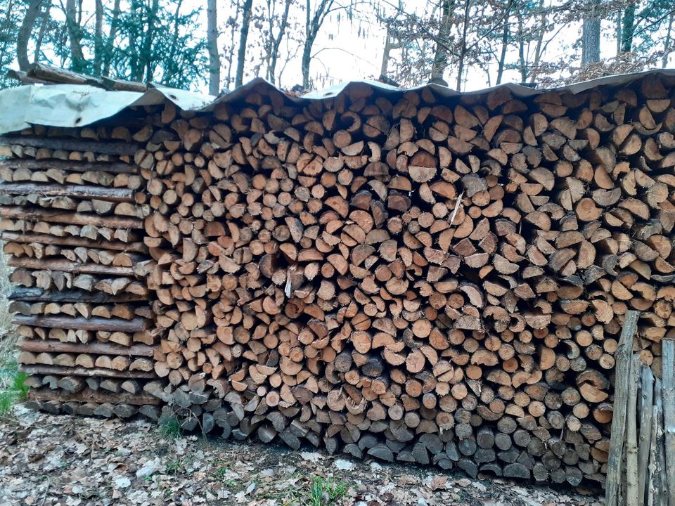 Kiefer und Fichten Brennholz in Allersberg