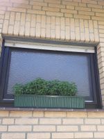 Fenster für Badezimmer mit Sichtschutzglas, Holzfenster Nordrhein-Westfalen - Overath Vorschau