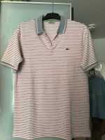 Polo Shirt in XL Frankfurt am Main - Bockenheim Vorschau