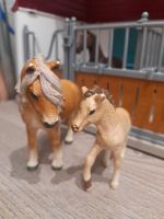 Schleich Isländer Stute und Fohlen Bayern - Vöhringen Vorschau