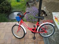 Kinderfahrrad (Ideal zum Radfahren lernen) Sachsen - Langenweißbach Vorschau