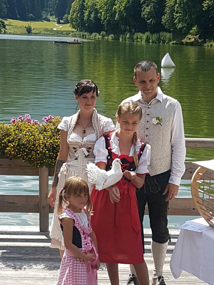 Brieftauben weiße Hochzeitstauben Allgäu  Bayern  Baden-Württembe in Biessenhofen