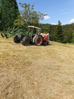 Fendt farmer 309 ls Baden-Württemberg - Salem Vorschau