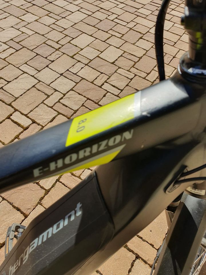 Bergamont E-Horizon 8.0 e-Bike in Schkölen