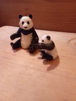 3 Bären Panda Mutter mit Kind und ein Braunbär Nordrhein-Westfalen - Velbert Vorschau