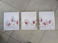 3er Set Bilder Leinwand Magnolie Orchideen weiß pink Niedersachsen - Sarstedt Vorschau