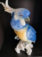 Porzellan Figur ENS Volkstedt  Papagei Kakadu  35 cm  Top Zustand Nordrhein-Westfalen - Brüggen Vorschau