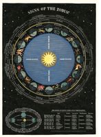 Cavallini Poster • Sternzeichen • signs of the zodiac • 50x70cm Schleswig-Holstein - Itzehoe Vorschau