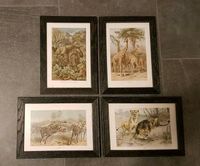 4 Lithographien Giraffe, Löwe, Elefant, Zebra mit Rahmen Baden-Württemberg - Ubstadt-Weiher Vorschau