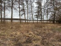 Wassergrundstück in Polen nahe Ostsee auf Insel Wolin Brandenburg - Wandlitz Vorschau