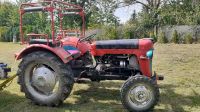 Massey Ferguson Hessen - Ringgau Vorschau