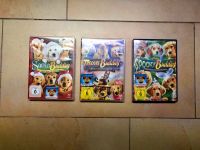 Disney Santa Buddies + Treasure Buddies + Spooky Buddies DVD Nordrhein-Westfalen - Greven Vorschau