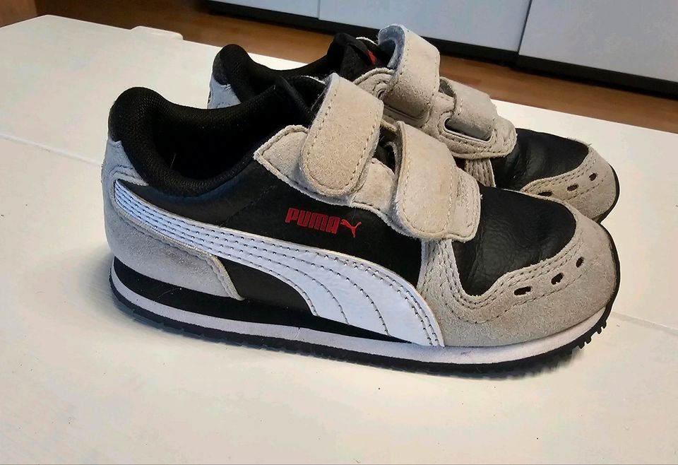 Sneaker Puma, Gr. 26, guter Zustand in Weinstadt