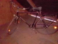 Original 70er Vito Holland Fahrrad Niedersachsen - Edewecht Vorschau