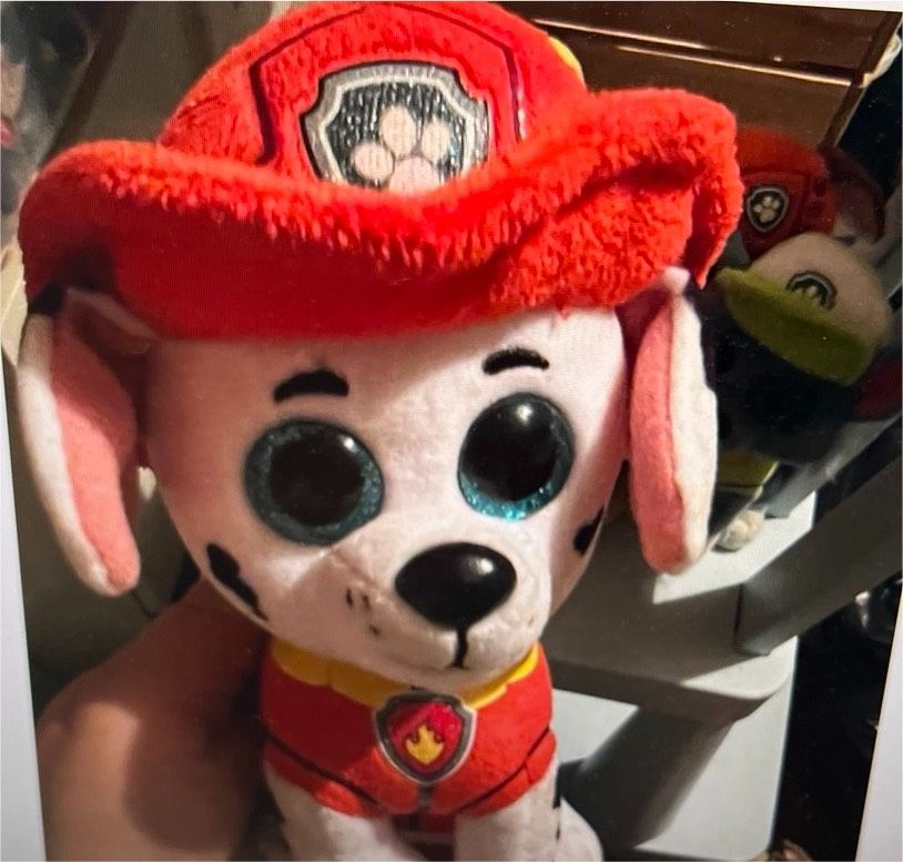 Ty Paw Patrol plüschfiguren 6 Stück in Neuss