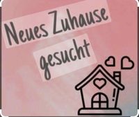 Wohnung zum Kauf Bayern - Murnau am Staffelsee Vorschau