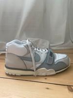 Nike Air Trainer Sneaker Grau Rheinland-Pfalz - Mainz Vorschau