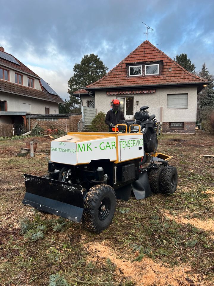 Baumstumpffräsen Stubbenfräsen Wurzelstockfräsen Baumstumpf entfernen in Berlin