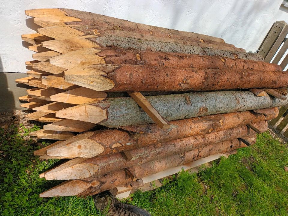 Holzpfosten/Koppelpfahl 2m lang in Kr. Dachau - Markt Indersdorf | eBay  Kleinanzeigen ist jetzt Kleinanzeigen