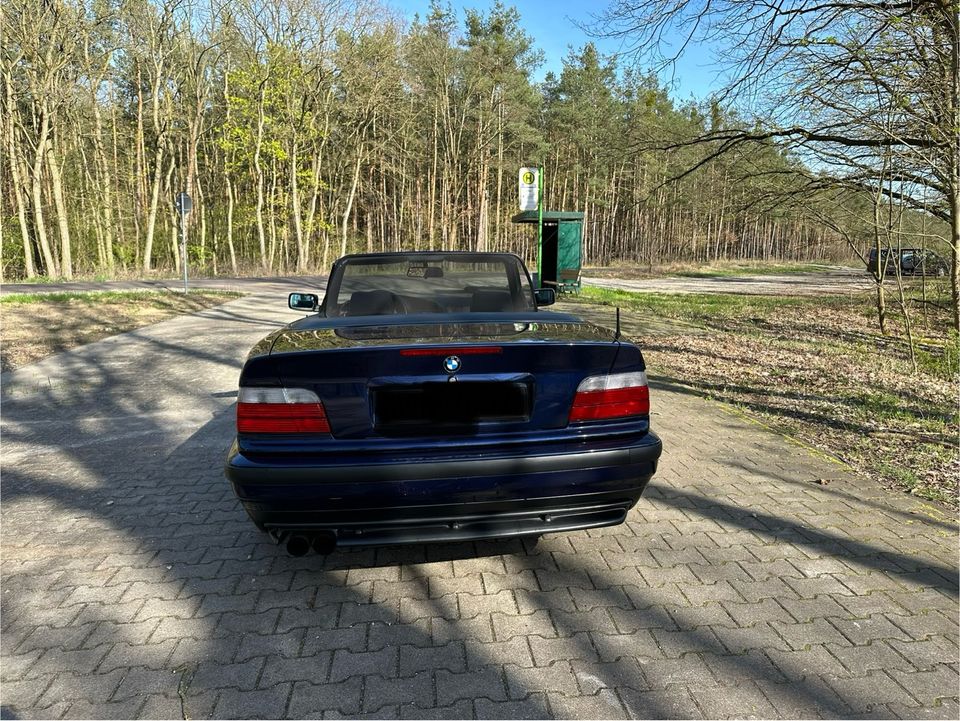 BMW E36 Cabrio 318i in Brandenburg an der Havel