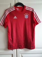 adidas FC Bayern München T-Shirt climacool, adizero, 164 Bayern - Weidenberg Vorschau