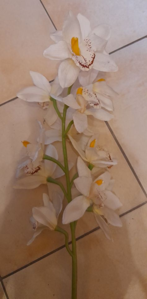 Künstliche Orchidee, Kunstblume, 90cm Höhe in Amberg