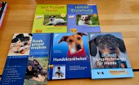 Bücher Sammlung Hundehaltung, Fütterung und Krankheiten. Wie neu! Bayern - Fürstenfeldbruck Vorschau