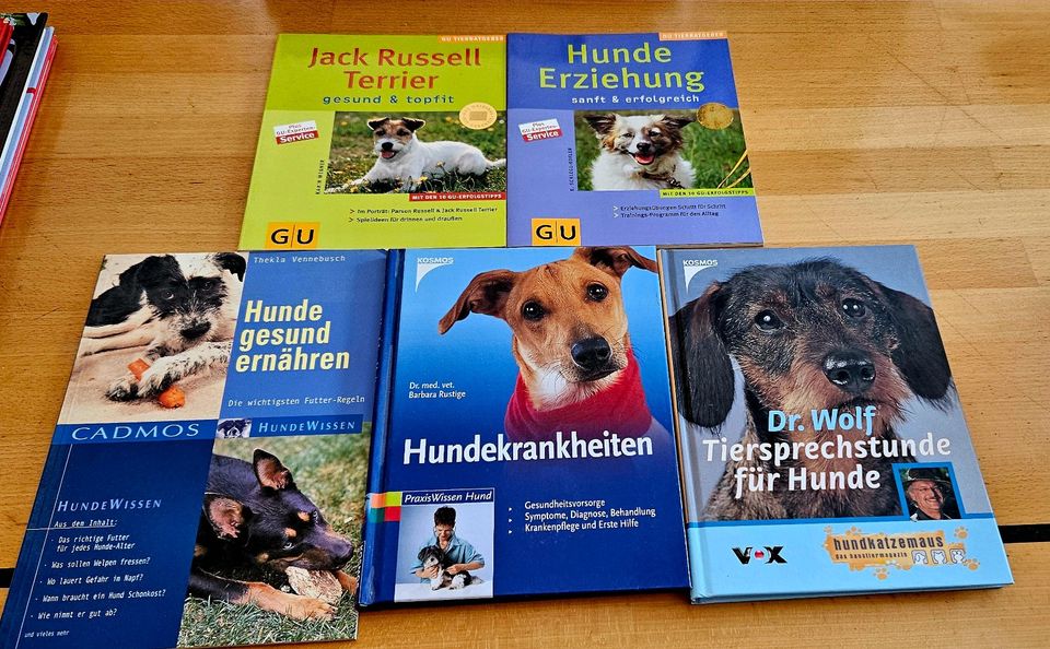 Bücher Sammlung Hundehaltung, Fütterung und Krankheiten. Wie neu! in Fürstenfeldbruck