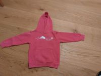 Kapuzenpulli Pullover Allgäu 122 128 Bayern - Stiefenhofen Vorschau