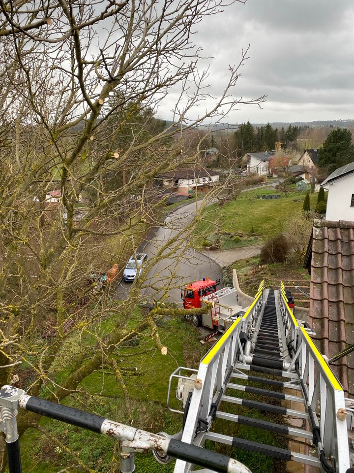 Baumfällungen/Höhenarbeiten/Drehleiterarbeiten in Hohentengen