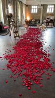 Echte, getrocknete Rosenblätter für Hochzeit oder Event! Frankfurt am Main - Nordend Vorschau