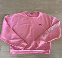 Puma, Pullover Baden-Württemberg - Rottweil Vorschau