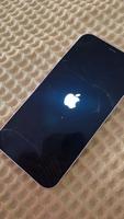 iPhone 12 DEFEKT